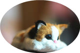 Mori Girl Kawaii Cat Head Band